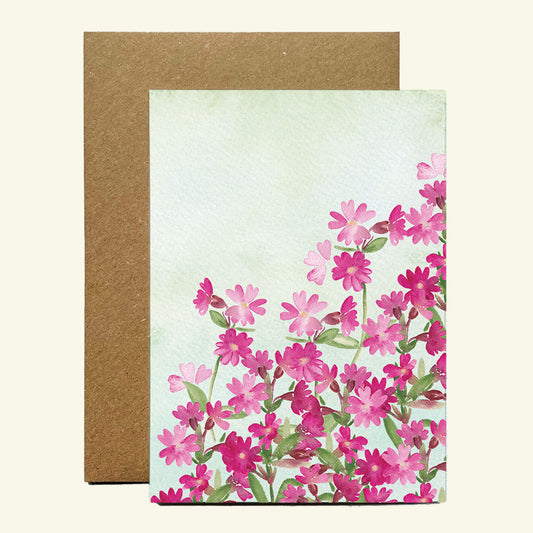 Red Campion Flower Greetings Card