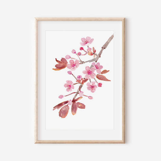 Cherry Blossom Art Print