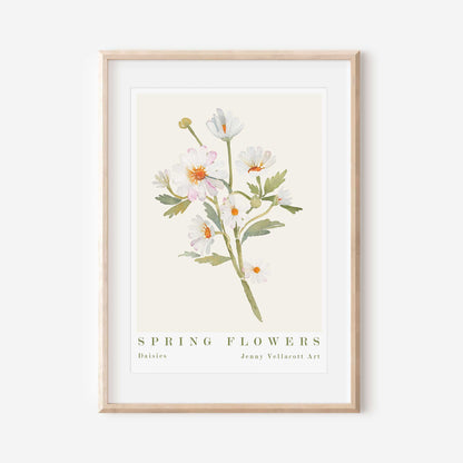 Daisies Spring Flowers Art Print