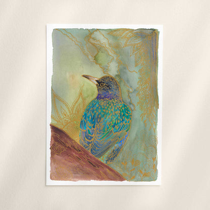 Starling Bird Art Print